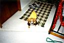 Baxter13.jpg