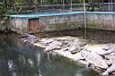 DCP_0535.JPG