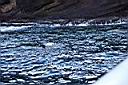 DCP_3265.JPG