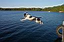 100_0301.JPG